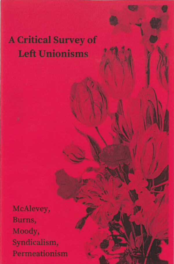 A Critical Survey of Left Unionisms